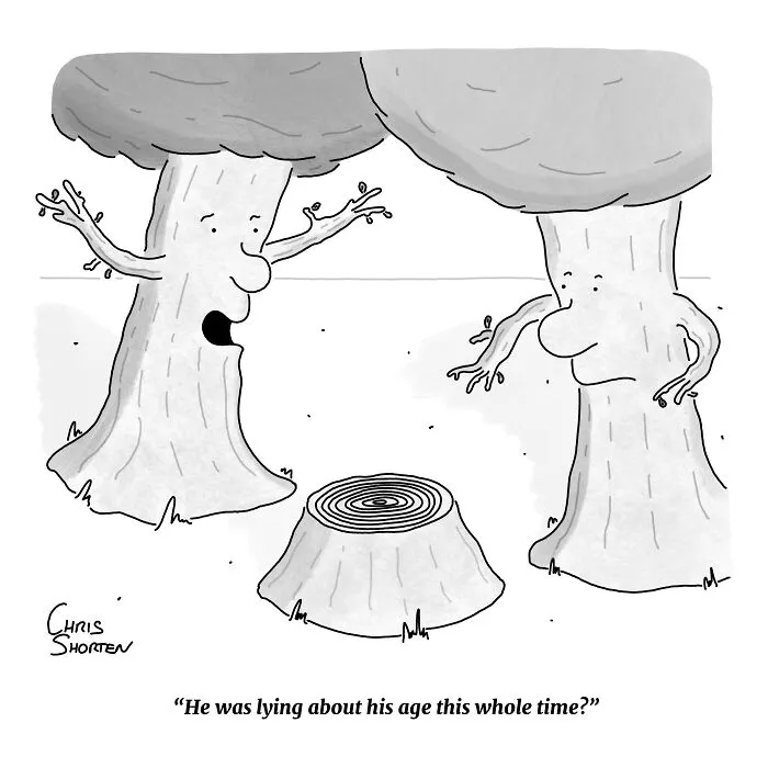 Single-panel comics by Chris Shorten illustrating two living trees inspecting a cut stump to check its age