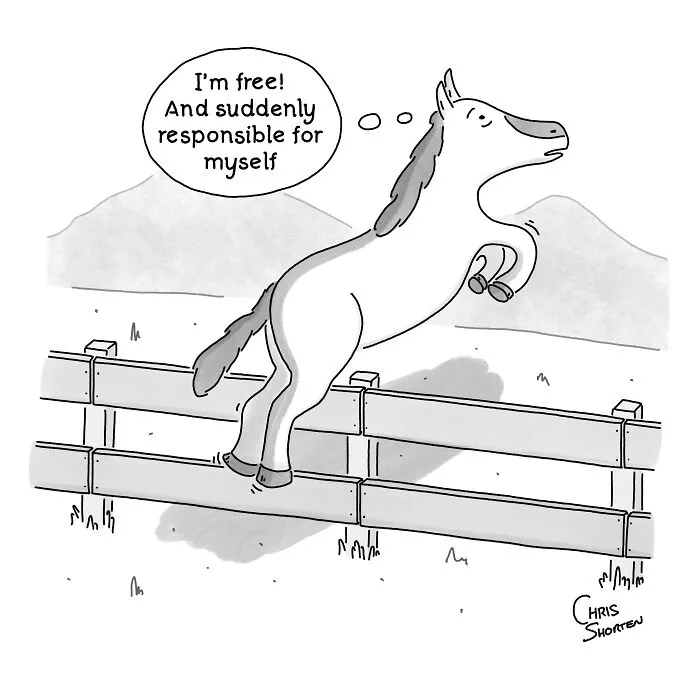 Single-panel comic by Chris Shorten of a horse jumping a fence and thinking about adult responsibilities.