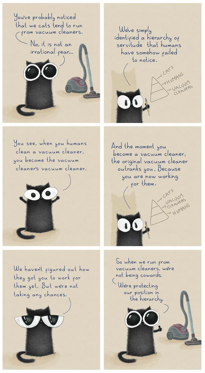 A comic featuring cat illustrations by Luis Coelho explaining why cats avoid vacuum cleaners.