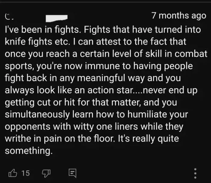 Person describes experience in fights and combat sports with witty comebacks