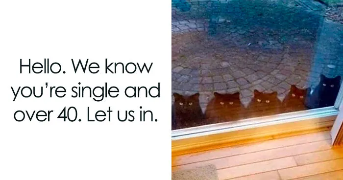 30 Animal Memes That Turn Our Everyday Struggles Into Comedy, As Shared By This Page