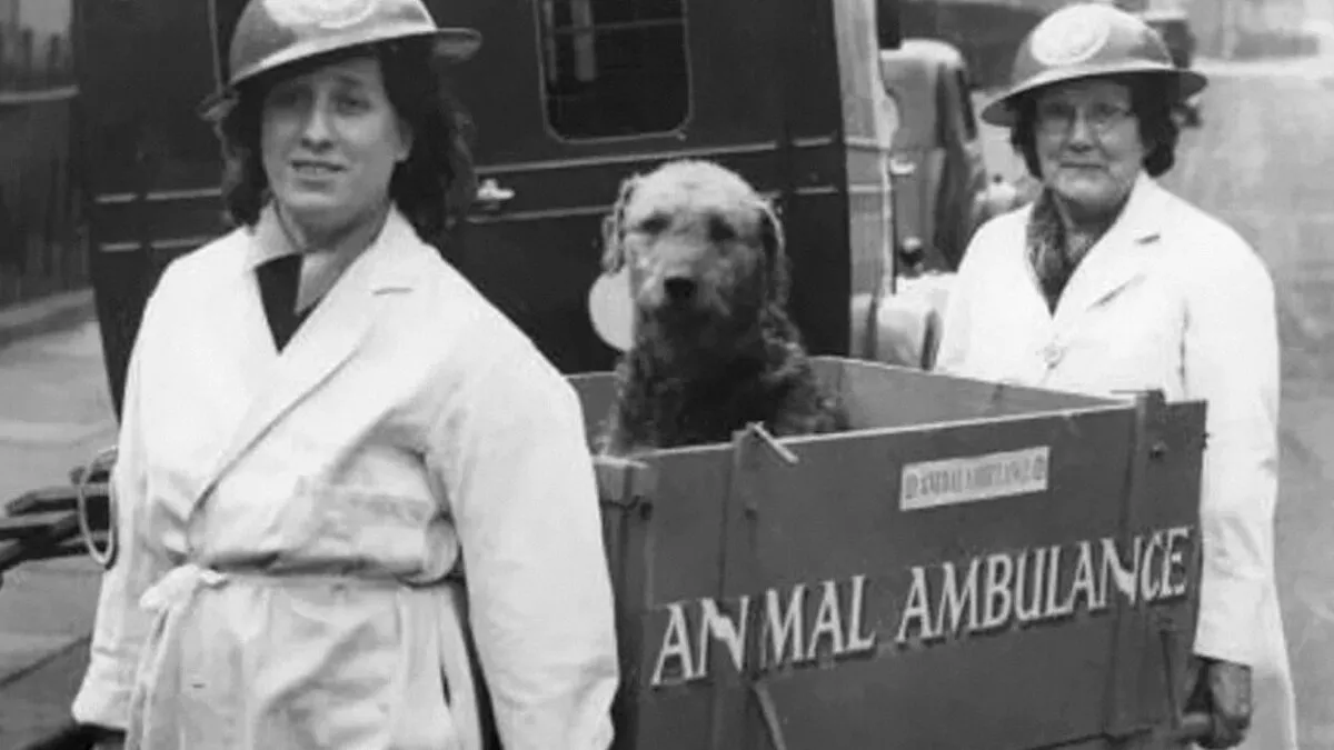 55 Remarkable Pieces Of History That Feel Like Opening A Window Into The Past