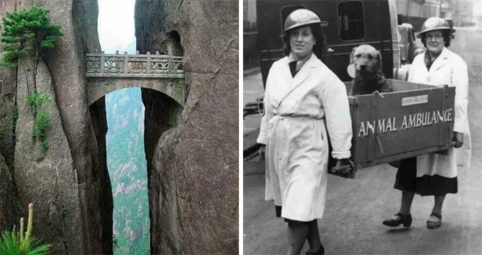 55 Remarkable Pieces Of History That Feel Like Opening A Window Into The Past
