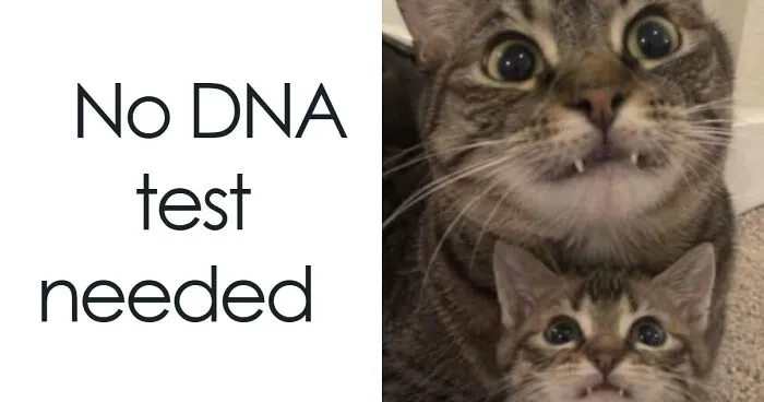 65 Strange, Random, And Unexpectedly Funny Pics Shared By This Online Group (New Pics)