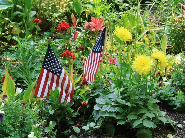 Small American flags placed among flowers in a tiny community garden.