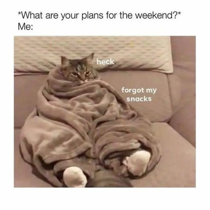 Cosy cat wrapped in a blanket on a couch in a hilarious animal meme