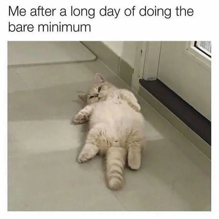 A cute kitten lying flat on its back on the floor, featured in hilarious animal memes about feeling tired.