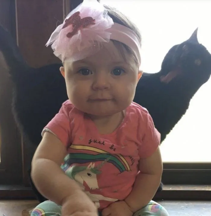A black cat licking the glass in the background behind a sitting baby.