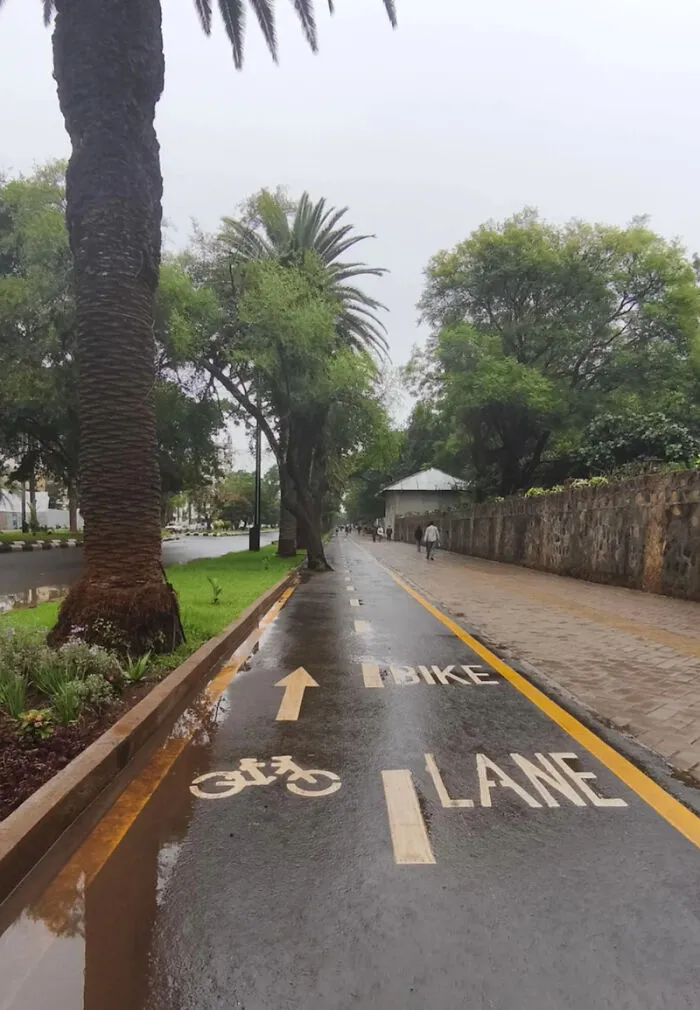 Wet bike lane on a street with palm trees and pedestrians