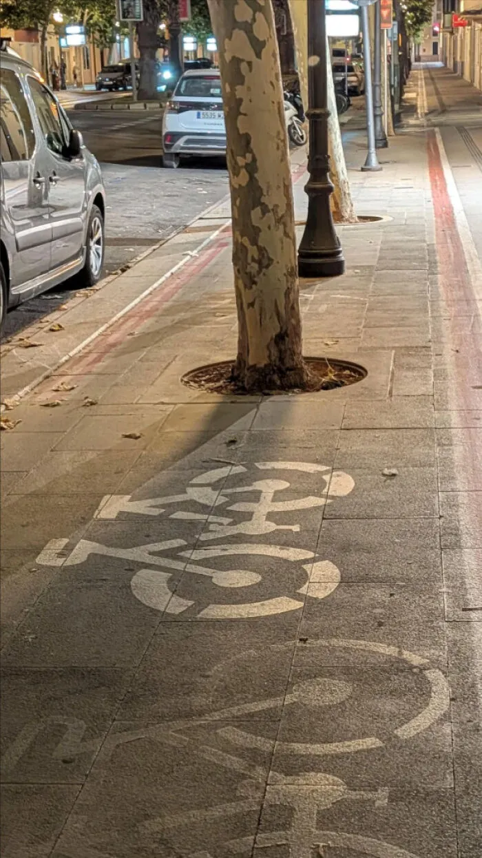 Bike lane marking obstructed by tree in the middle of the sidewalk