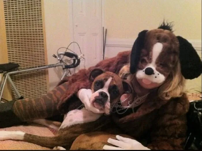 A person dressed as a plush dog sitting next to a real dog in a creative Halloween costume.