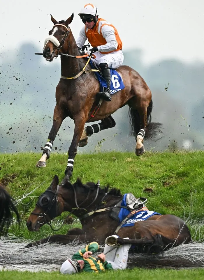 Horse race photo showing a fall during the 2026 Siena International Photo Awards event