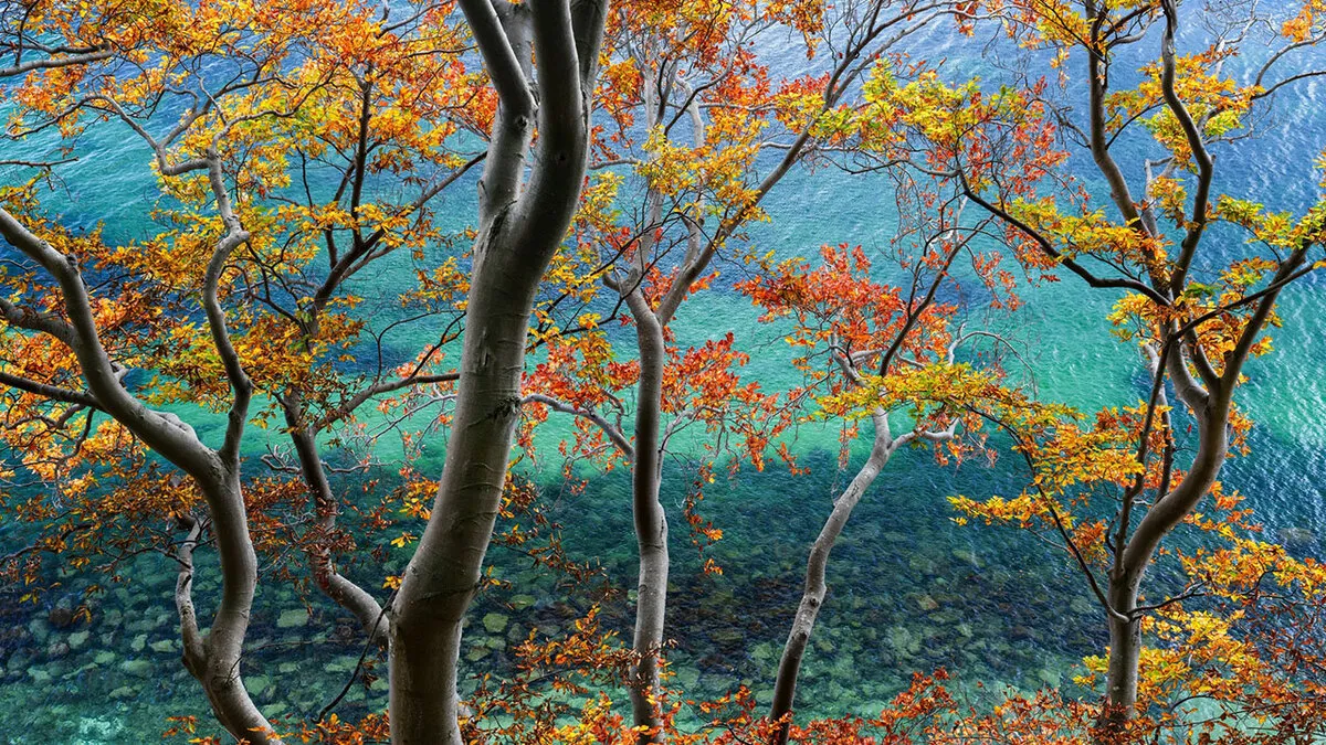 81 Pics That Prove Nature Never Runs Out Of Surprises From The 2026 NLPA Awards
