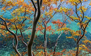 81 Pics That Prove Nature Never Runs Out Of Surprises From The 2026 NLPA Awards