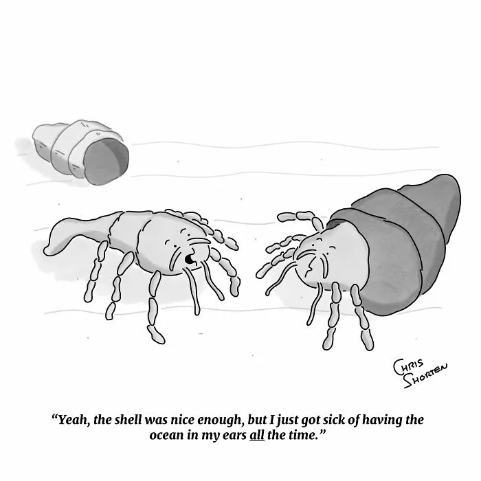 Single-panel comic by Chris Shorten depicting two hermit crabs talking on the seabed after one leaves its shell.