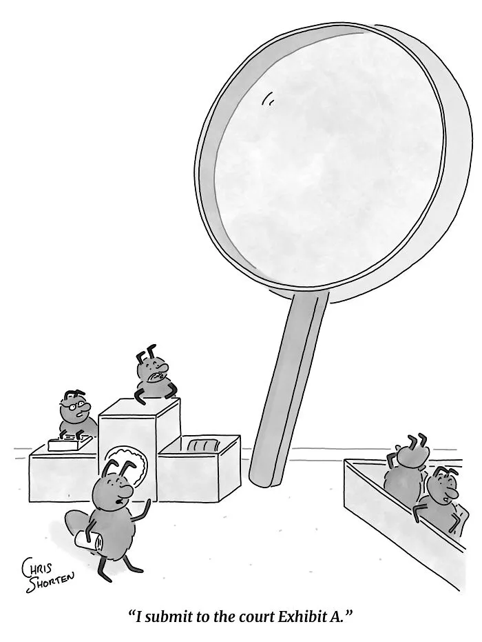 Single-panel comics by Chris Shorten showing ant lawyers in a courtroom using a huge magnifying glass as evidence