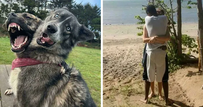 80 Perspective Photos Leave People Guessing Until They Notice One Tiny Detail In The Frame