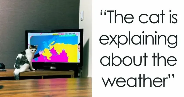 65 Mind-Bending Pictures Where Perspective Plays Tricks On Your Eyes Until You Finally See The Truth