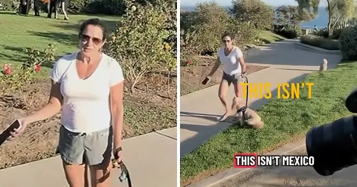 Laguna Beach ‘Karen’ Hijacks Couple’s Romantic Proposal As Confrontation Turns Ugly