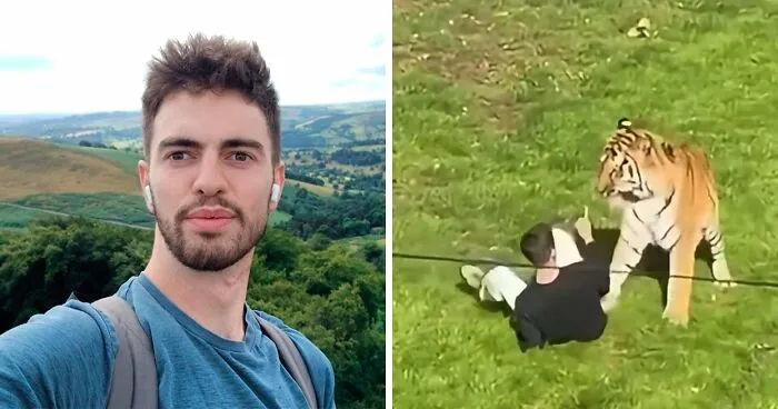 Former Child Actor Who Entered Tiger Enclosure Filmed His Own Final Moments As He Calmly Approached Animal