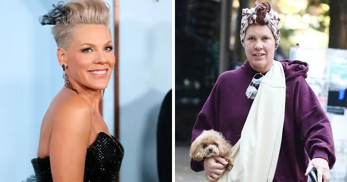 Pink Cheekily Claps Back After Viral Makeup-Free Photo Invited Cruel Comments