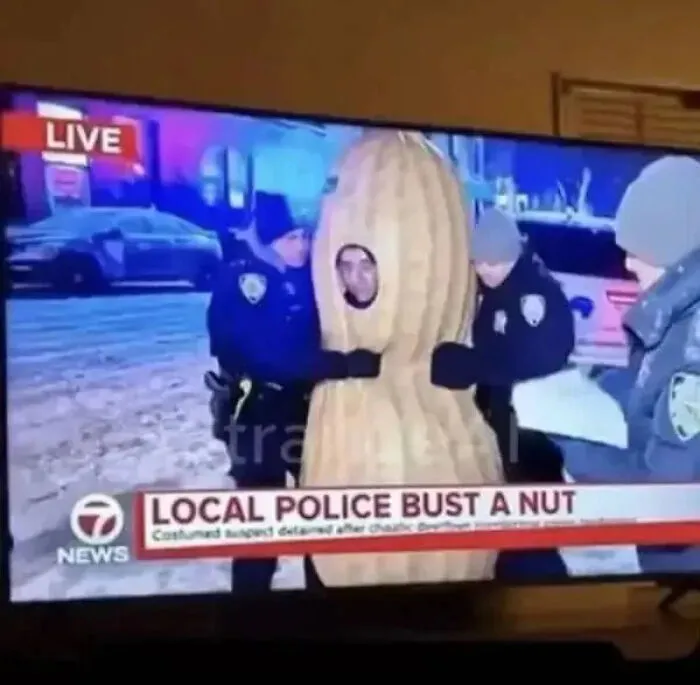 Police officers arresting a person dressed as a peanut, highlighting hilarious unhinged news headlines.