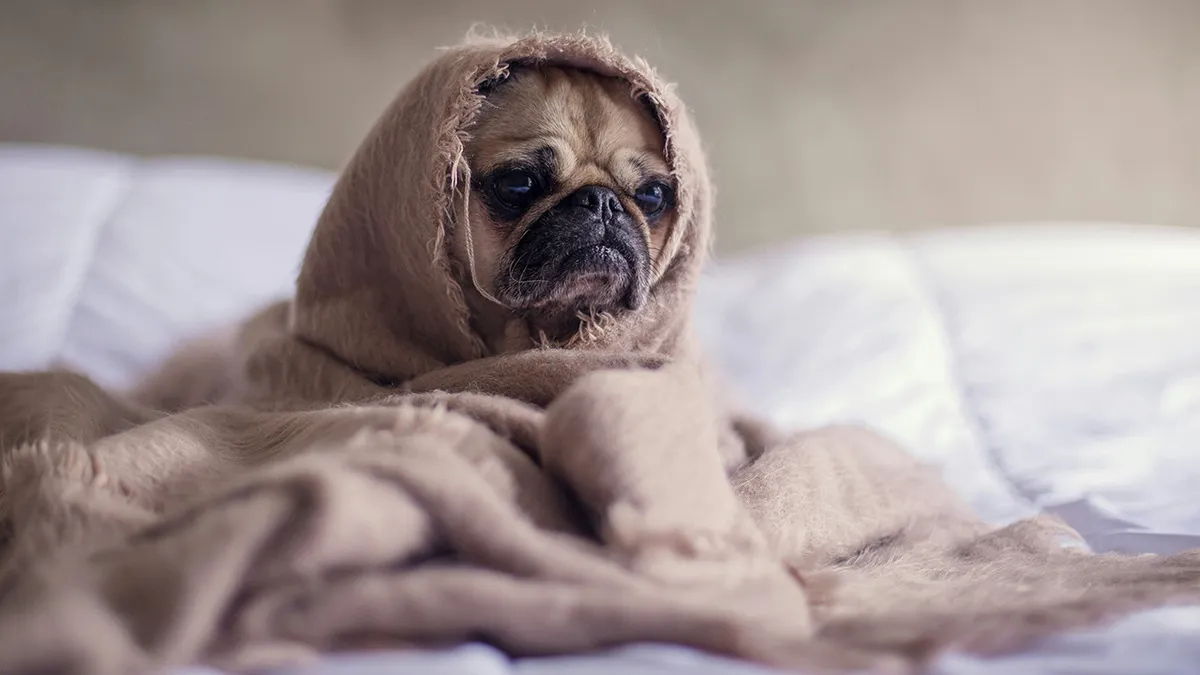 48 Airbnb Stories That Might Make You Very Glad You’re Not The Host