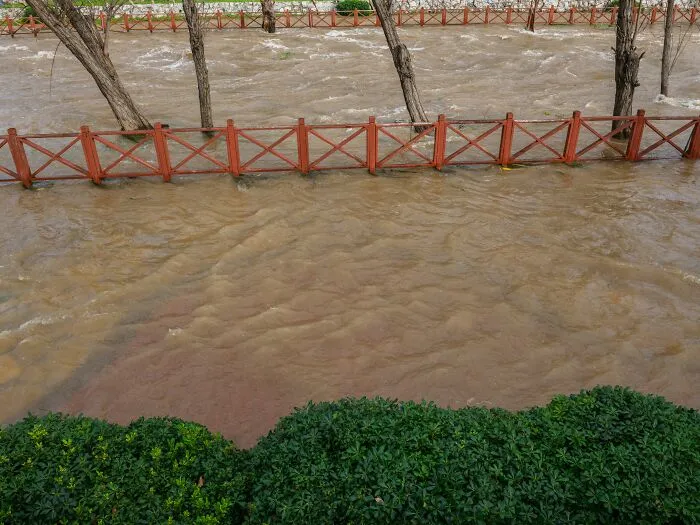 Flooded park area depicting nightmare scenarios in Airbnb Stories