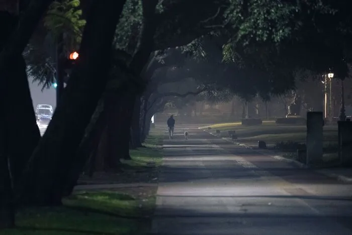Person walking down a dark foggy street lined with trees creating a spooky setting