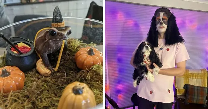 70 Of The Cutest And Most Creative Pet Halloween Costumes