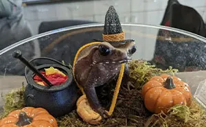 70 Pet Owners Who Put Serious Effort Into Their Animals’ Halloween Costumes