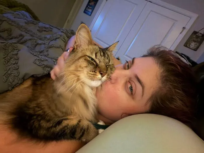A sweet tabby cat cuddling close to its owner in bed, highlighting their shared life stories.