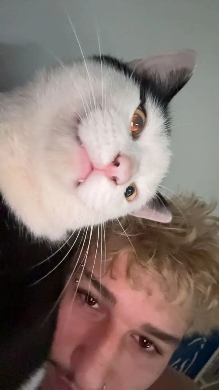 A close up selfie of a white and black cat and its owner, featured in the TikTok trend of life stories with pets.