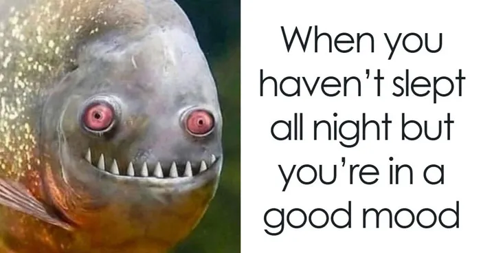 75 Random Memes That Are Way Too Accurate To Be This Funny