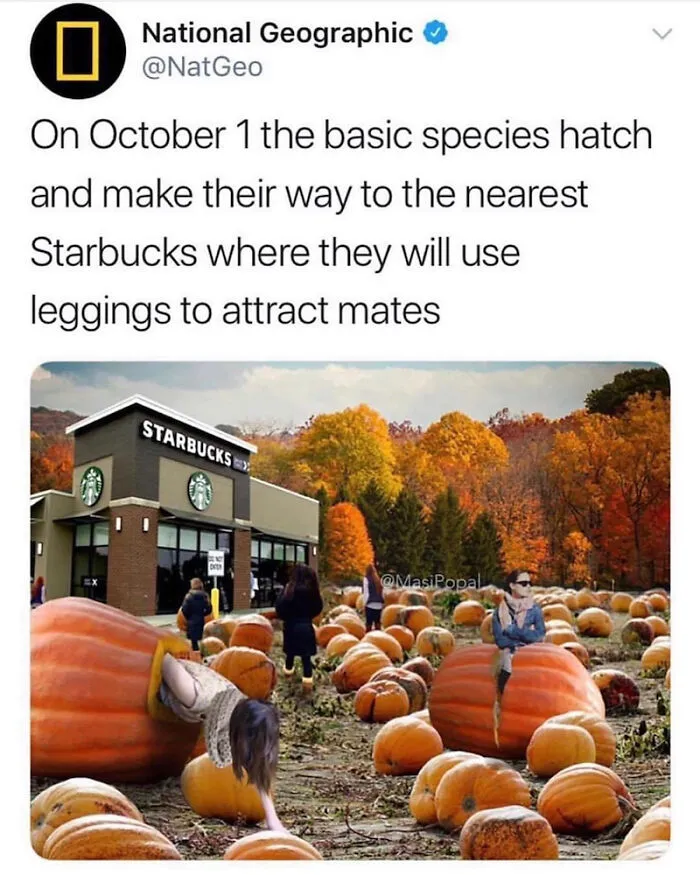 Humorous Halloween meme showing basic autumn stereotypes outside Starbucks with giant pumpkins.