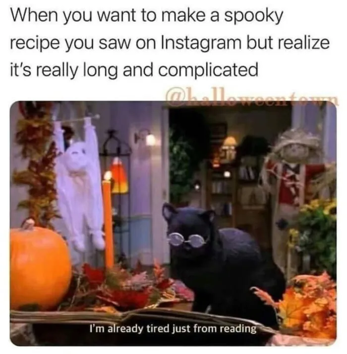 Funny Halloween memes featuring a black cat wearing glasses reading a recipe book