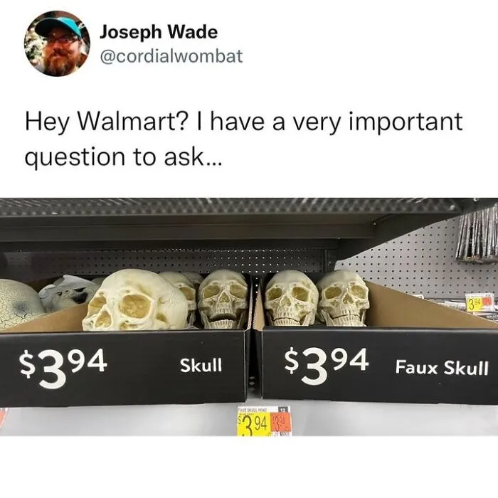Funny store display comparing real and fake skulls for Halloween memes