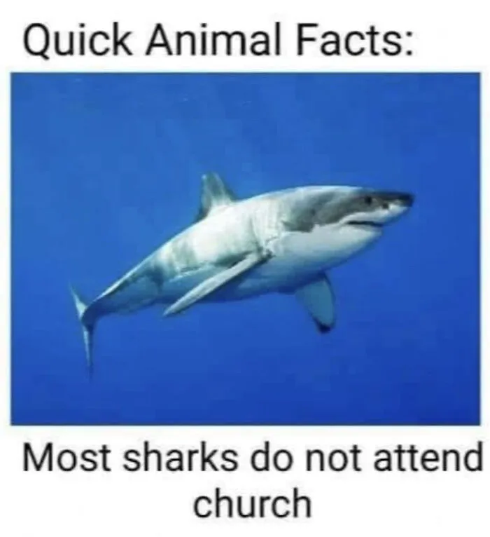 Technically correct meme about most sharks not attending church with shark image