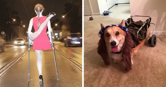 67 Creative And Hilarious People With Disabilities Who Won Halloween
