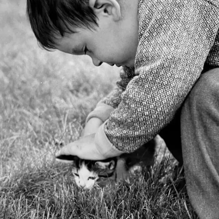 A black and white vintage photo of a young boy gently petting a small cat in the grass.
