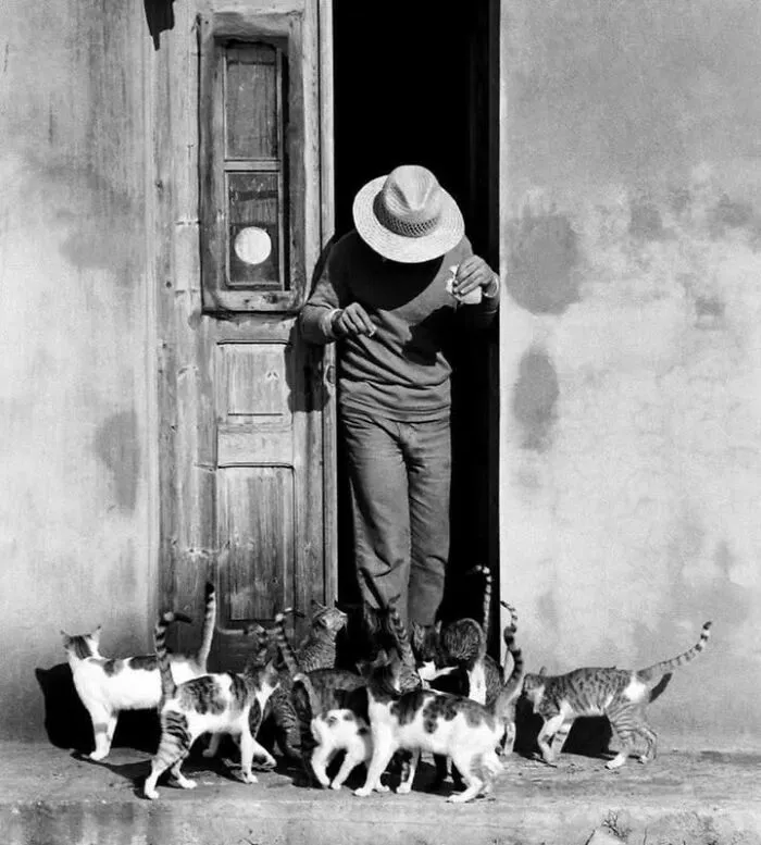 A black and white sweet cat photo of a man in a straw hat surrounded by many cats at a doorway