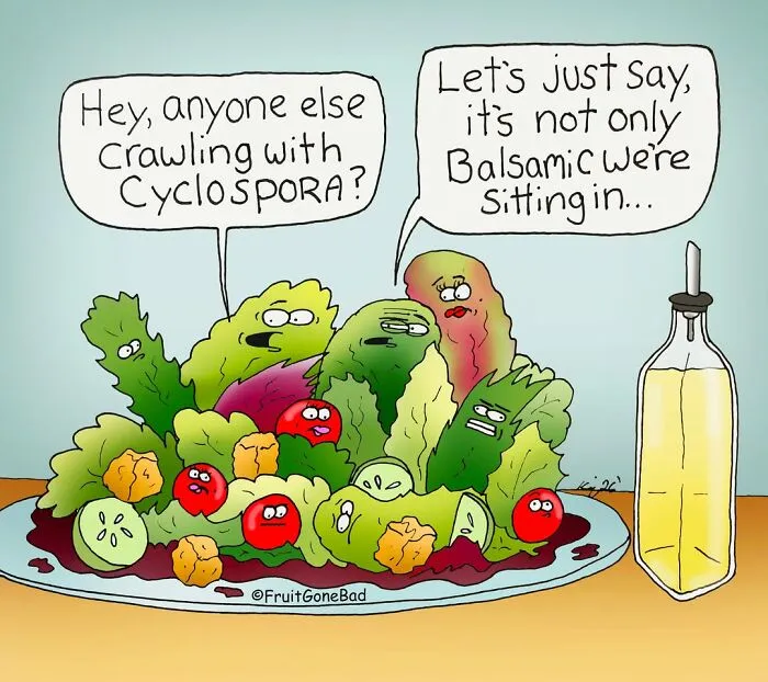 Funny comics featuring food salad talking about crawling with Cyclospora and balsamic dressing.