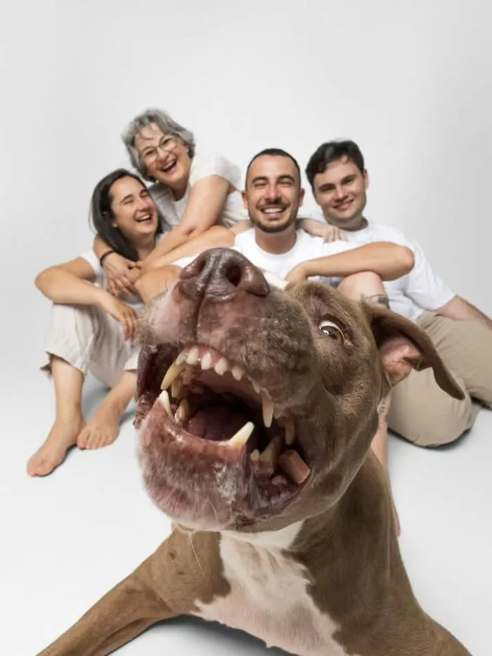 Funny dog photo of a playful brown pitbull taking a selfie with a smiling family in the background.