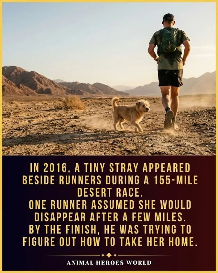 A small stray dog runs alongside a desert racer, showing true stories of animals who survived the impossible.