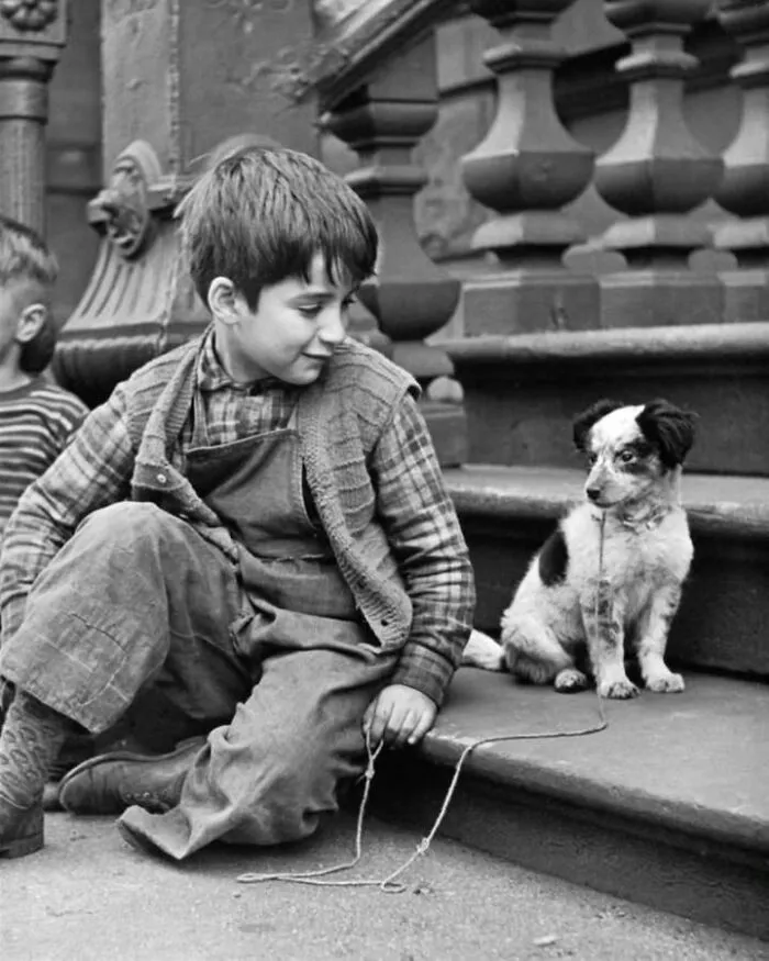Vintage black and white dog photo of a young boy sitting on steps next to his small puppy