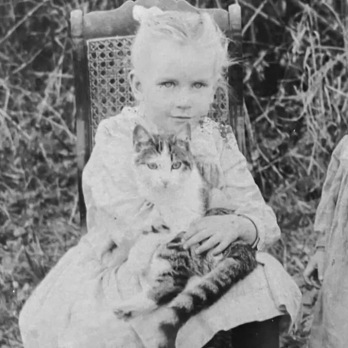 Vintage photo of a young girl sitting in a chair holding a large tabby cat