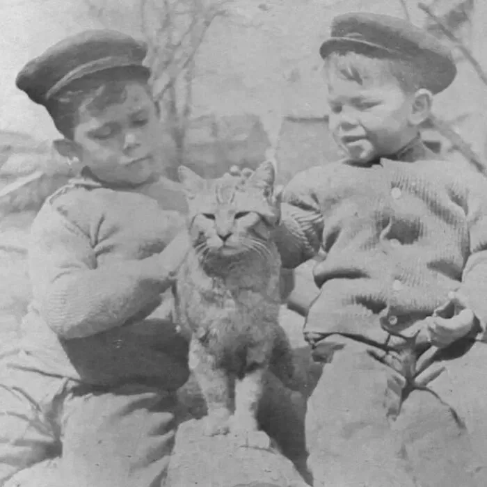 Vintage photo of two young boys in matching hats petting a domestic tabby cat