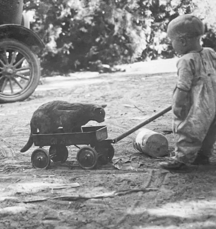 Vintage photo of a toddler pulling a black cat sitting in a toy wagon