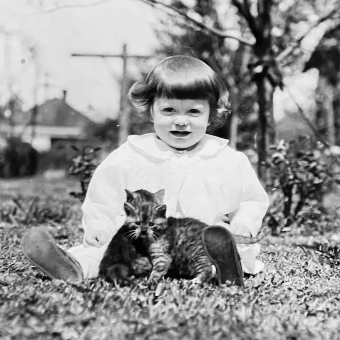 A happy young toddler sitting on the grass with two fluffy kittens in vintage photos of children with their cats