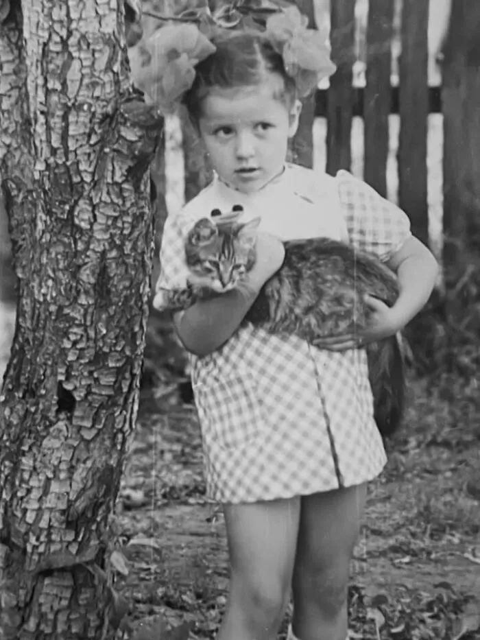 A vintage photo of a young girl with hair bows holding a fluffy cat in her arms outdoors.